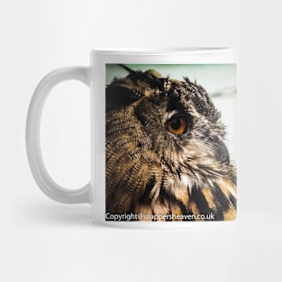 Tawny owl in colour 1 Mug